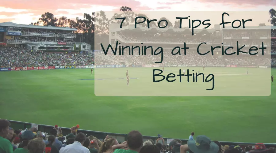 Pro tips for cricket betting